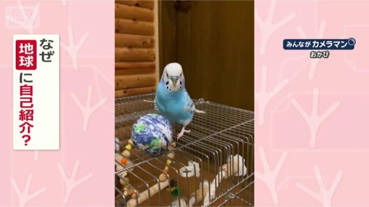 なぜ自己紹介するの？