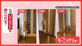「開けるニャン」　どんなドアも次々オープン！　達人ネコちゃん　なぜ開けるの？