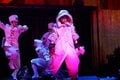 舞台剧《GACHIAKUTA》开幕！东京千秋乐决定线上直播＆Blu-ray化，带来植木豪及演员阵容的感言