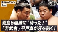 幕内全取組ハイライト|5月場所 5日日 5.14