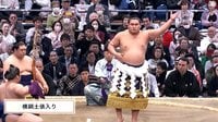 「つまみ出せ」「自分に酔ってるだけ」横綱土俵入り、ファンの“異様”な振る舞いに批判殺到
