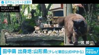 動画で地元に帰る!?オンライン帰省