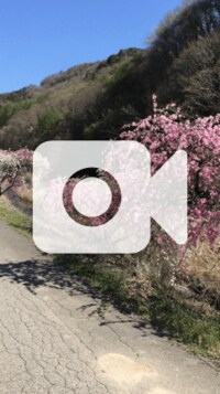 ダンカン『還暦六十歳ライダー 弱冠二十歳ライダー ...