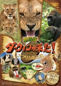 若きライオン、百獣の王への道…『劇場版ダーウィンが来た！アフリカ新伝説』予告映像＆ポスタービジュアル解禁