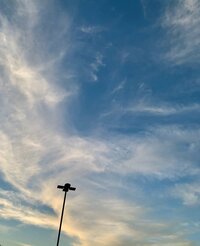 武田久美子『ご無沙汰致しました』