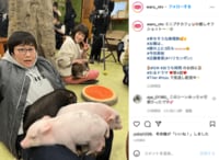 ドラマ『悪女』ミニブタとふれあう今田美桜ら出演陣に「可愛すぎる」「癒やされた」の声