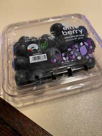 戸田恵子『ごめいふくをおいのりいたします。』