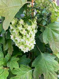 キャシー中島『今日は三茶で大掃除』