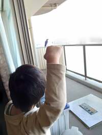 山田花子『ベランダにいるのは！』