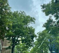 市川海老蔵『お墓参りへ』