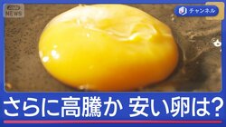 卵さらに高騰の恐れ　中東情勢と鳥インフルで業者悲鳴　安く買える穴場は？