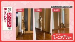 「開けるニャン」　どんなドアも次々オープン！　達人ネコちゃん　なぜ開けるの？