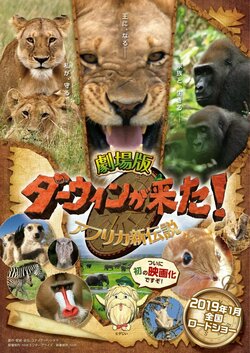 若きライオン、百獣の王への道…『劇場版ダーウィンが来た！アフリカ新伝説』予告映像＆ポスタービジュアル解禁