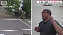 【映像検証】クマ襲撃の瞬間映像からみえた“3つの習性”と“とるべき行動”とは