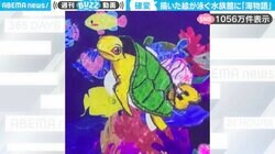 「確変！？」絵が泳ぐ水族館で『海物語』のカメ出現に、SNSでは1000万件表示！「リーチの声が頭に…」「笑顔にならざるを得ない」