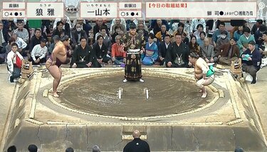 大相撲中継に“圧倒的存在感”放つ大物俳優の姿が…溜席に堂々鎮座に
