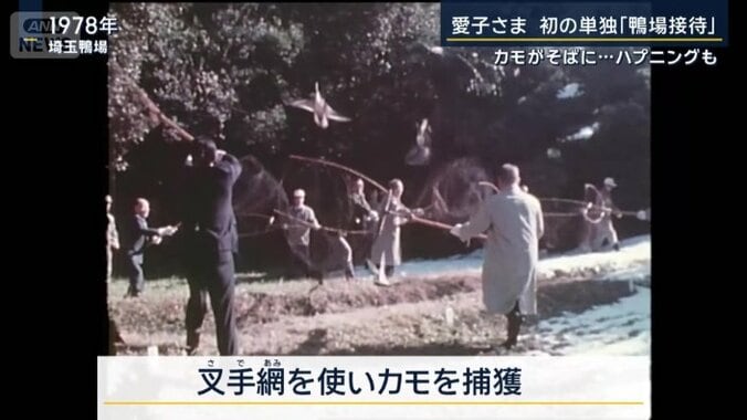 無傷のまま捕獲する技法