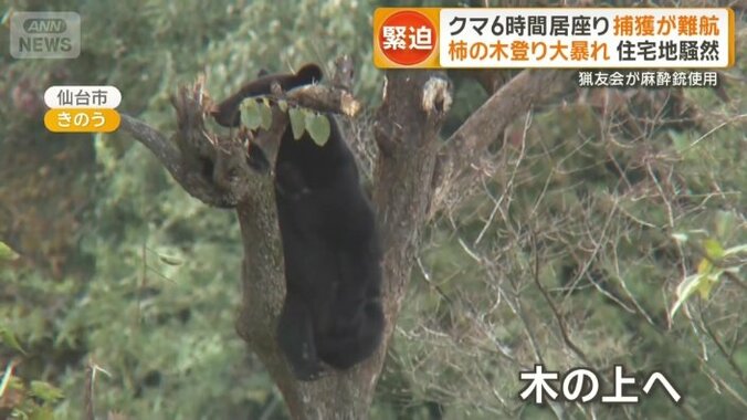 わなから逃れようと上へと登っていく