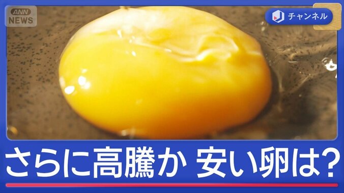 卵さらに高騰の恐れ　中東情勢と鳥インフルで業者悲鳴　安く買える穴場は？ 1枚目
