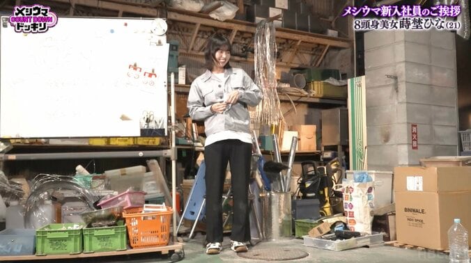 蒔埜（まきの）ひな