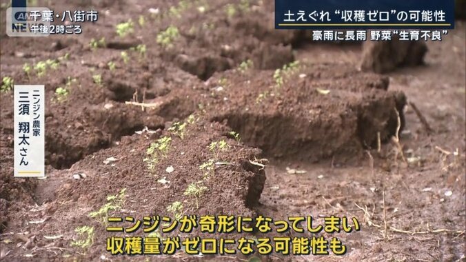 ニンジン農家　三須翔太さん