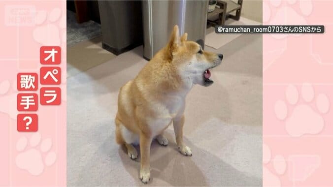 気分はオペラ歌手