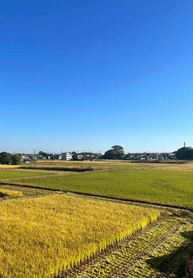  北斗晶、“口内炎祭り”になった口「体調を崩してる人が私の周りでも結構いる」  1枚目