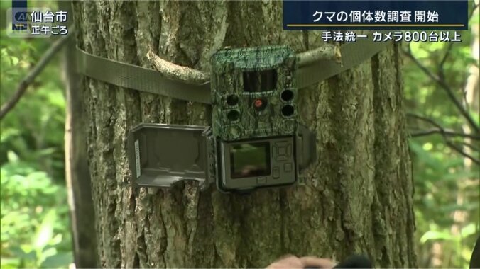 小型のカメラ