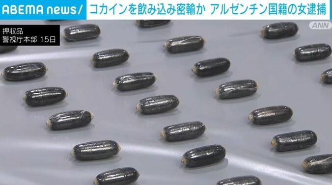 コカイン飲み込み密輸か アルゼンチン国籍の女逮捕 2枚目