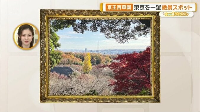 切り取った絶景