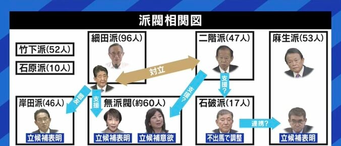 河野氏に乗っかる理由は自民党改革よりも自分の選挙? 総裁選をめぐる若手議員と参議院議員の思惑 11枚目