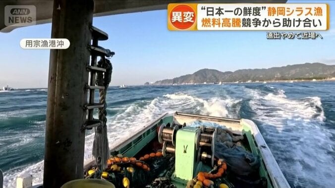 港を出た約50隻