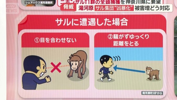 サルに遭遇した場合は…