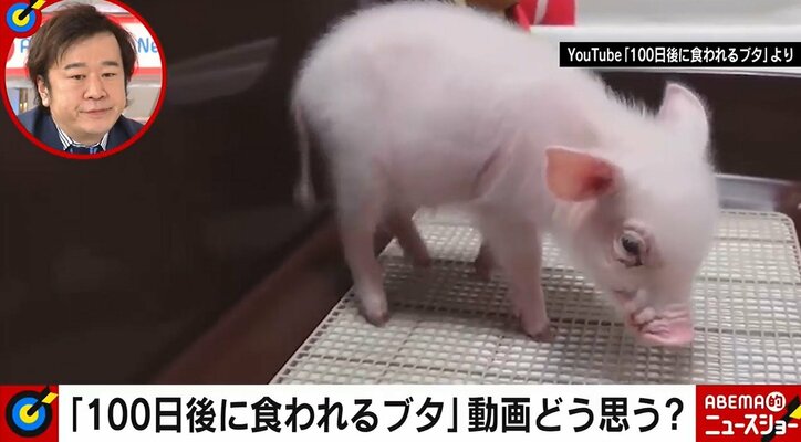 100日後に食われるブタ Youtube動画が波紋 再生数稼ぎ 疑問の声に飼い主は 国内 Abema Times