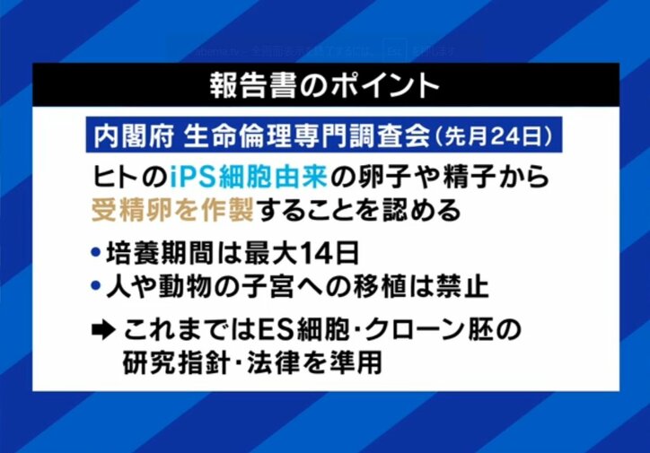 報告書のポイント
