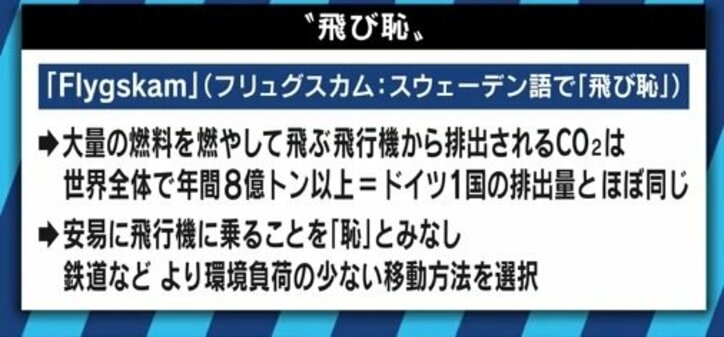 なぜ反感を覚える?グレタさんの言動に噛み付く大人たち 小島慶子氏、夏野剛氏の見方は?