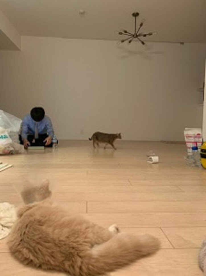 あいのり・桃、夫と初めてキスした場所「思い出がたくさん詰まったおうち！！」