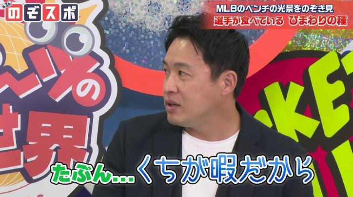 メジャーリーガーがグラウンドで食べるガム＆ひまわりの種を五十嵐亮太が解説 食べる理由は「口が暇だから」