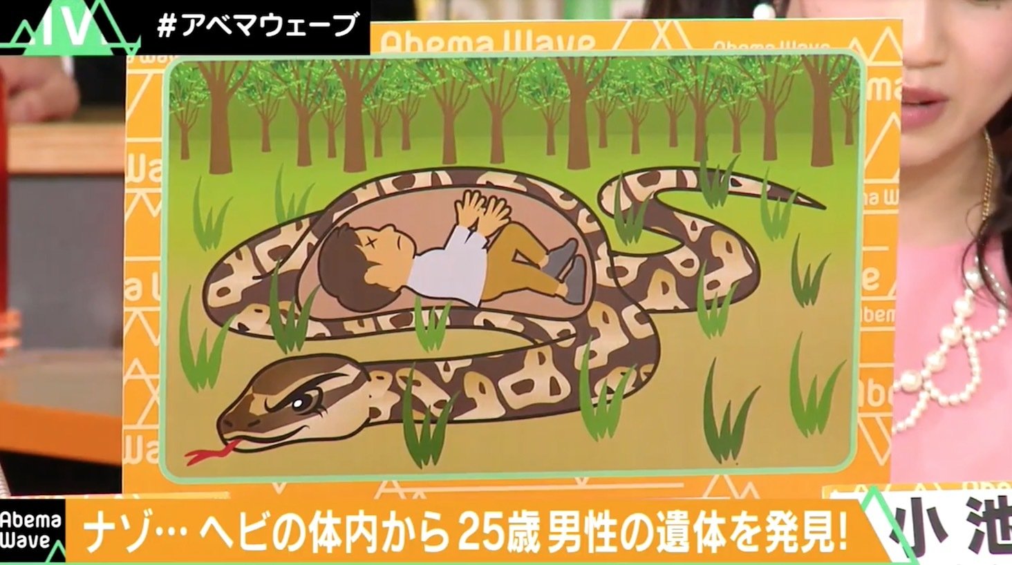 7メートル巨大ヘビに男性が丸呑み 巨大ヘビに遭遇した時の対処法 その他 Abema Times 7メートル巨大ヘビに男性が丸呑み 巨大ヘビに遭遇した時の対処法 その他 Abema Times