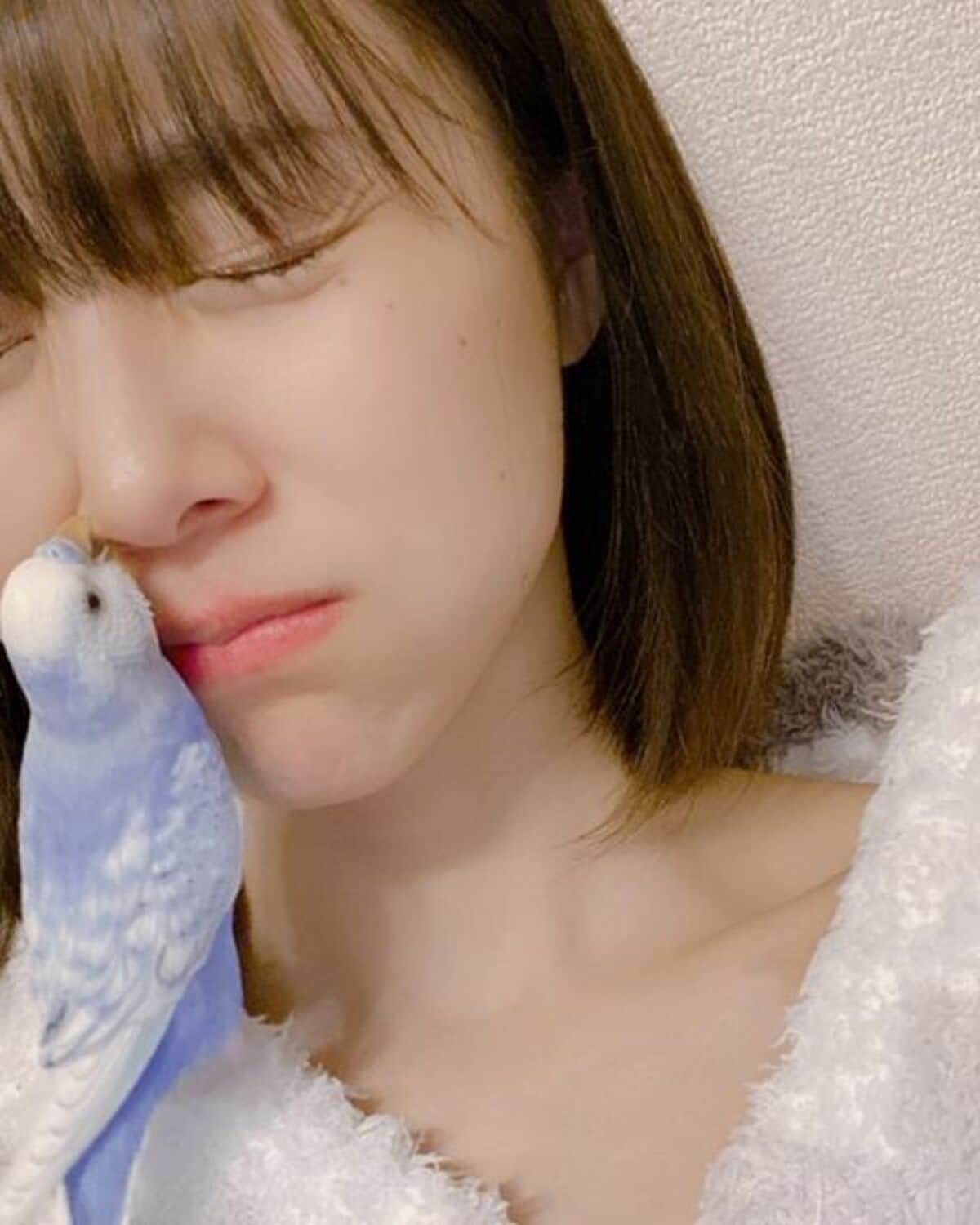 痛くないよ 全てが愛おしい 有村藍里 ペットのセキセイインコに鼻を噛まれる 愛情表現 を報告 話題 Abema Times