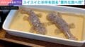 そうめん流しで“楽しげに泳ぐ”絶滅危惧種 「一瞬本物かとw」「流れるプール」20万人が驚愕した珍光景が話題