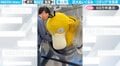 職人技！巨大コダックのぬいぐるみを“真剣な眼差し”で洗濯していく様子に「両手で頭抱えているように見えるw」「専門店だからこその技術！」と反響