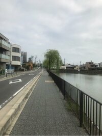 市川海老蔵『嬉しい』
