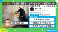 病院の待合室で待機する犬 行儀良い姿に「2度見した」の声