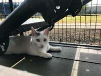 坂上忍『空なう』