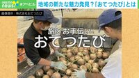 【映像】「安く旅行ができるだけじゃない！」おてつたびの魅力