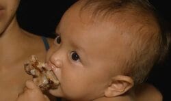 生後10ヶ月の長男が猪肉にかぶりつき…奄美大島の”船上生活一家”のワイルドすぎる夕食風景に驚き