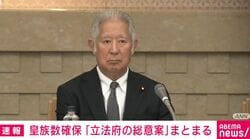 皇族数確保 「立法府の総意案」まとまる