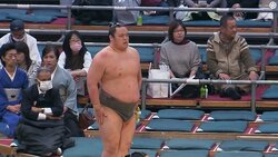 あまり見たことない…幕下力士の“丁寧なお辞儀”に驚きと称賛「これが礼」「いいお辞儀すてき」