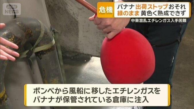 ボンベから風船にエチレンガスを移す